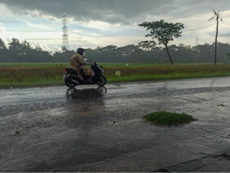 Awas! Jatim, NTB dan Kaltim Siaga Hujan Sangat Lebat hingga 3 Desember 2025