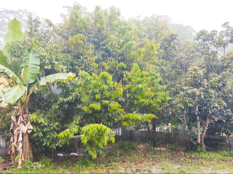 Cuaca 17–20 November 2025: Jabar, Jatim, Sumbar Siaga Hujan Lebat dan 19 Wilayah Waspada Angin Kencang