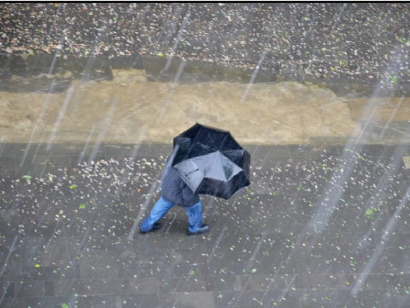 Peringatan Cuaca Ekstrem! BMKG: 17 Wilayah Siaga Hujan Lebat dan Angin Kencang hingga 24 November