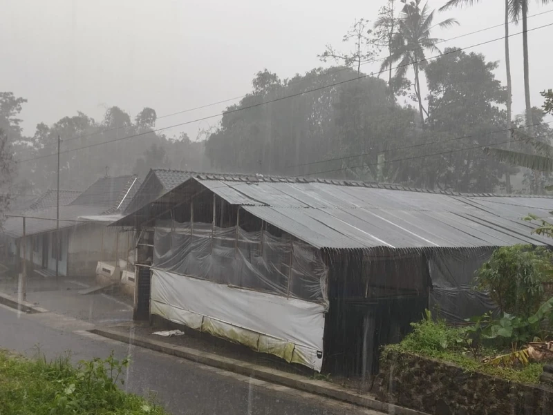 Warga di 14 Wilayah Termasuk Jateng, Banten dan Jakarta Diimbau Siaga Angin Kencang hingga 26 Februari 2026