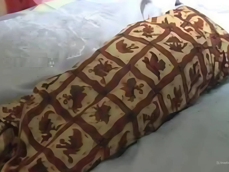 5 Fakta Penemuan Jasad Bayi dalam Tas di Stasiun Citayam yang Bikin Suasana Mencekam