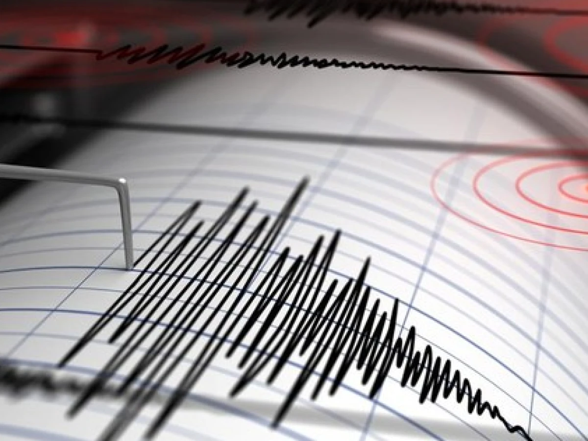 Gempa 4,6 M Guncang Batang Jawa Tengah