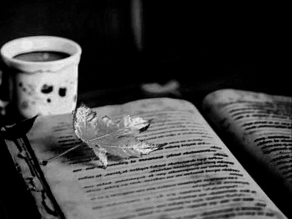 Puisi-Puisi Deska Setia Perdana