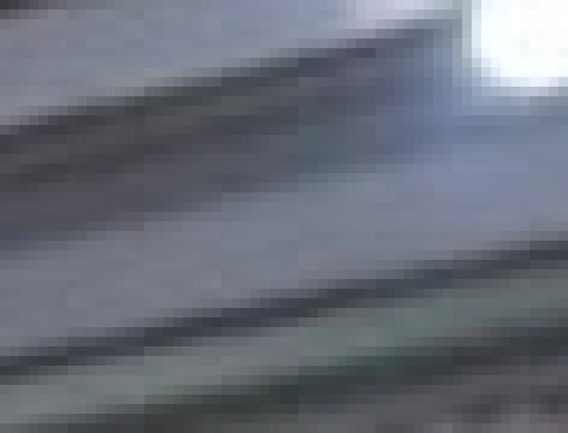 Sarif Kakung Minta Pemda Perkuat Upaya Pencegahan DBD Masuki Musim Penghujan