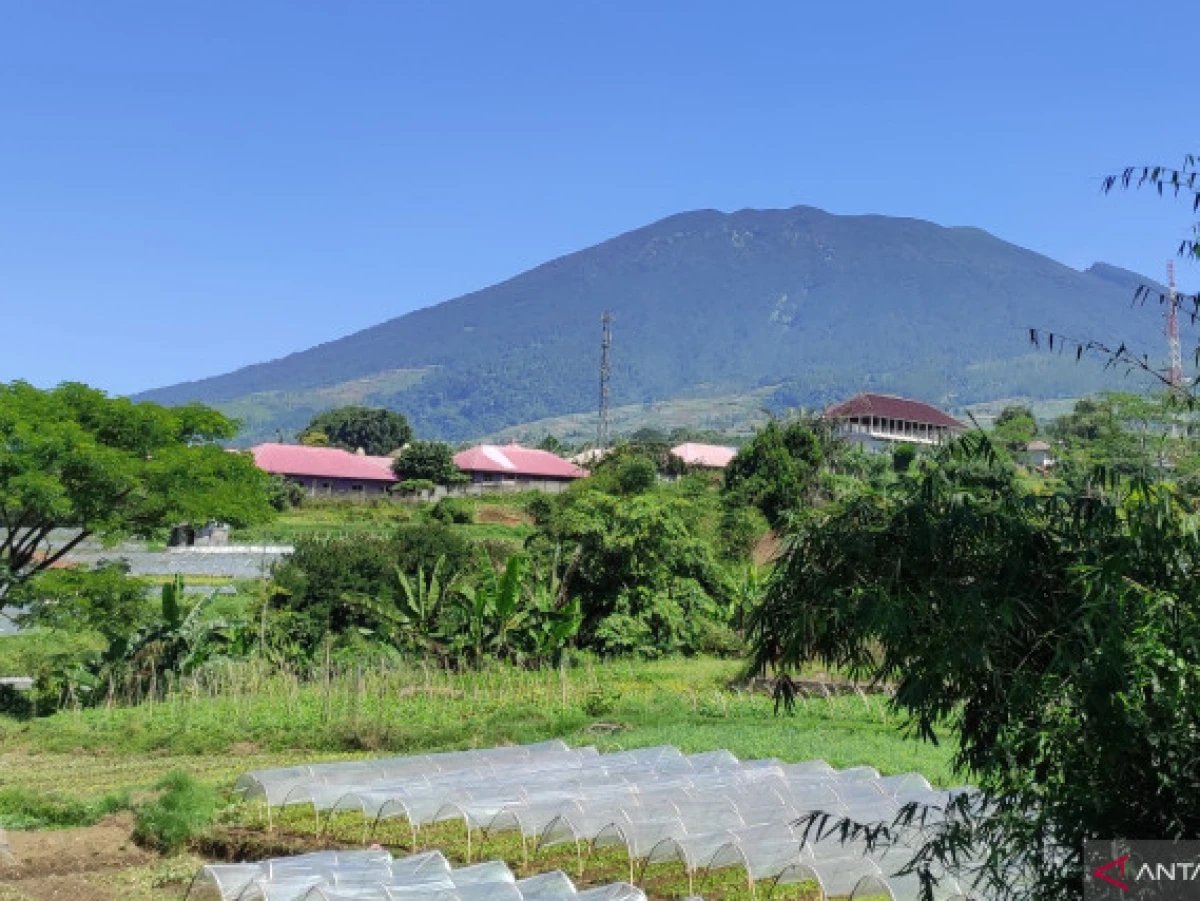 Cuaca Buruk, Pendakian ke Gunung Gede Dihentikan Sementara