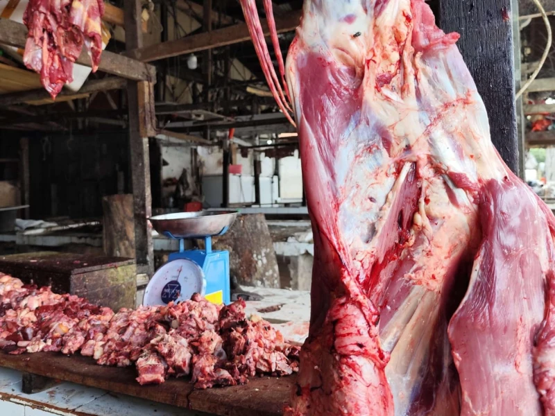 Impor Daging Sapi Swasta 2026 Dipotong Drastis, Pengusaha Khawatir Terjadi PHK