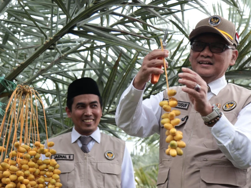 Menhaj Gus Irfan Dorong Pemanfaatan Kurma Lokal sebagai Ekosistem Penyelenggaraan Haji
