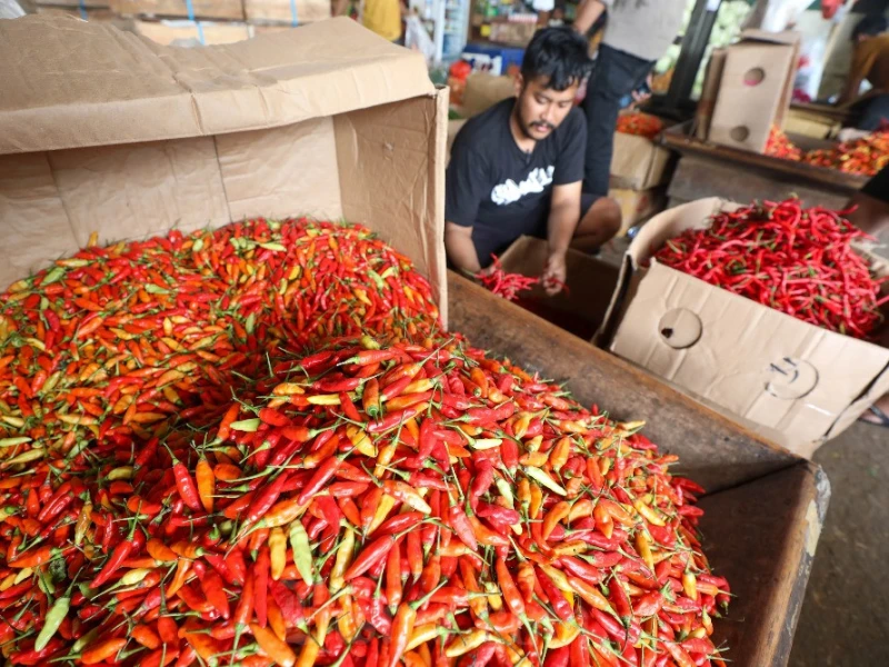 Harga Pangan di Jakarta Hari Ini: Cabai Rawit Merah Naik Rp20.450 Menjadi Rp85.000 per Kg