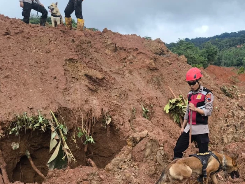 Tim DVI Polda Jateng Identifikasi Korban Tewas Longsor Cilacap, Kondisi Jenazah Tak Utuh
