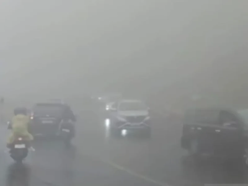 Waspada! Kabut Tebal Selimuti Jalur Puncak–Cianjur, Jarak Pandang Hanya 5–10 Meter