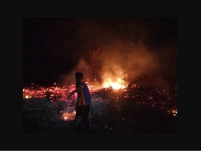 Waspada Karhutla, KLH Ungkap Luas Lahan Terbakar di RI Tahun Ini Meningkat 20 Kali Lipat dari 2025