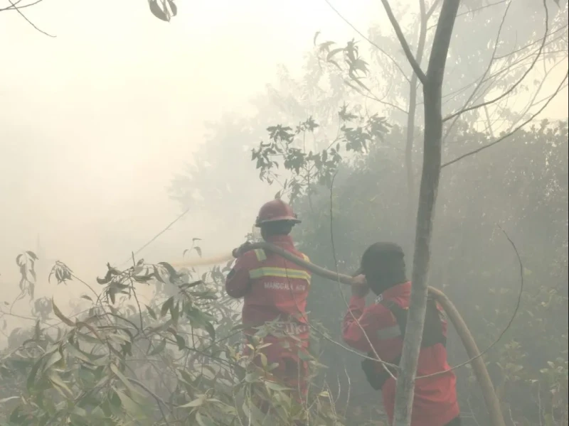 Tim Gabungan Berjibaku Padamkan Karhutla di Riau