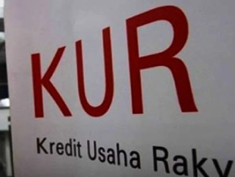 Pemerintah Siapkan KUR Pertanian Rp300 Triliun, Tertarik Usaha Pangan?