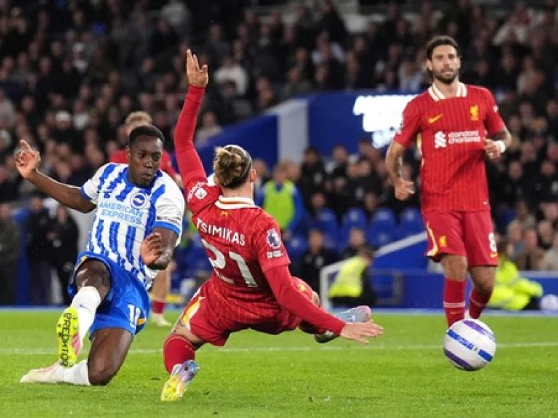 Link Live Streaming Liverpool vs Brighton di Liga Inggris Malam Ini, Mampukah The Reds Balas Dendam?