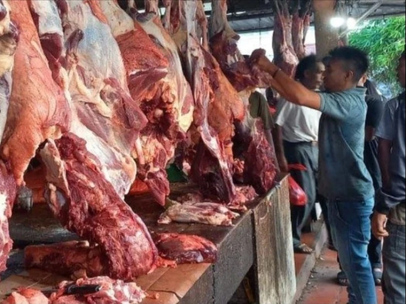 Jelang Ramadah, Aceh Dapat Transferan Rp72,7 Miliar dari Presiden Prabowo untuk Beli Sapi Meugang