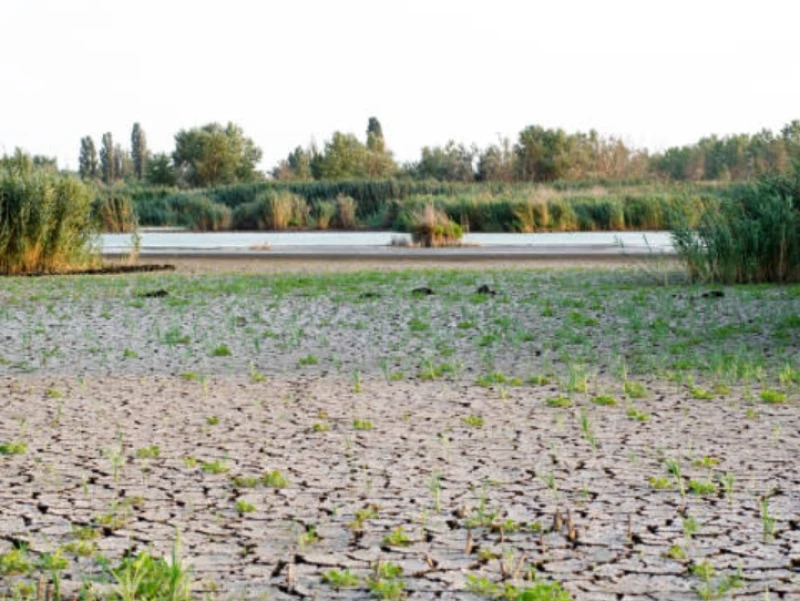 BMKG: 16,3% Zona Musim Masuk Kemarau di Bulan April 2026