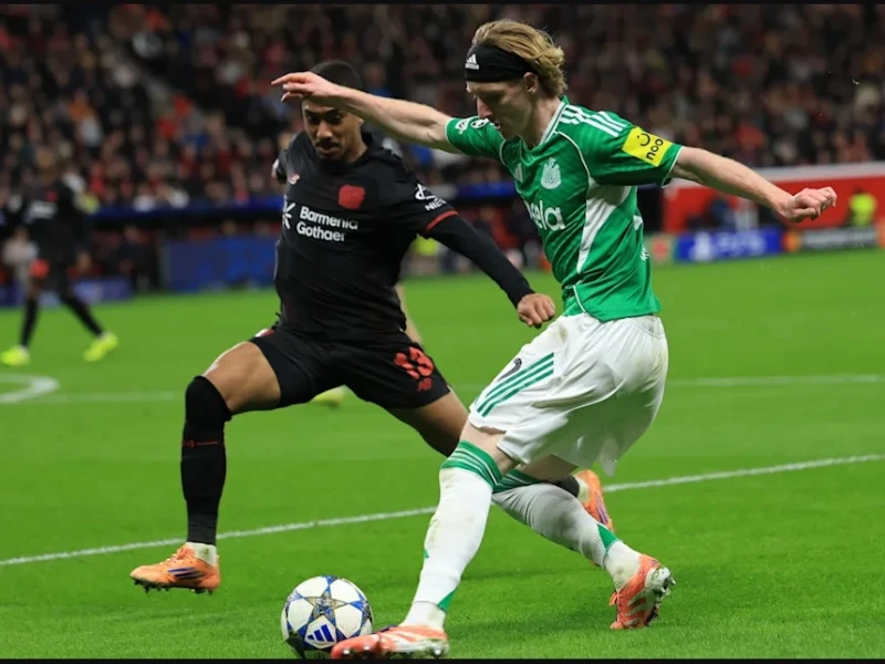 Drama Sengit, Bayer Leverkusen vs Newcastle Berakhir Imbang 2-2 di Liga Champions