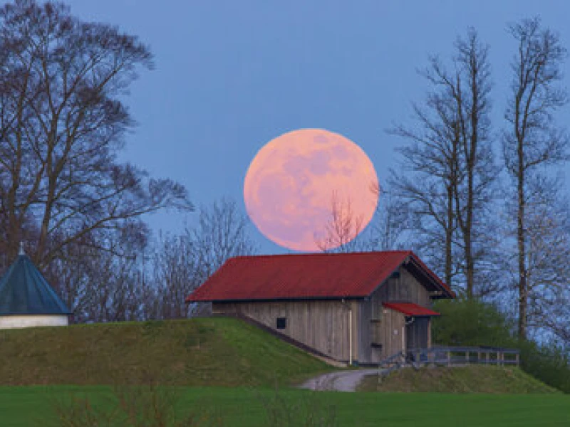 Catat Tanggalnya! Fenomena Langka Pink Moon hingga Hujan Meteor Lyrid Hiasi Langit April 2026
