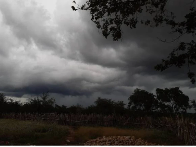 BMKG: Waspada Angin Kencang di 10 Wilayah Termasuk Jakarta dan Jatim hingga 16 November 2025