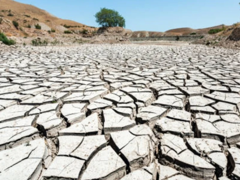 BMKG: 61,4% Wilayah Indonesia Akan Hadapi Puncak Musim Kemarau pada Agustus 2026