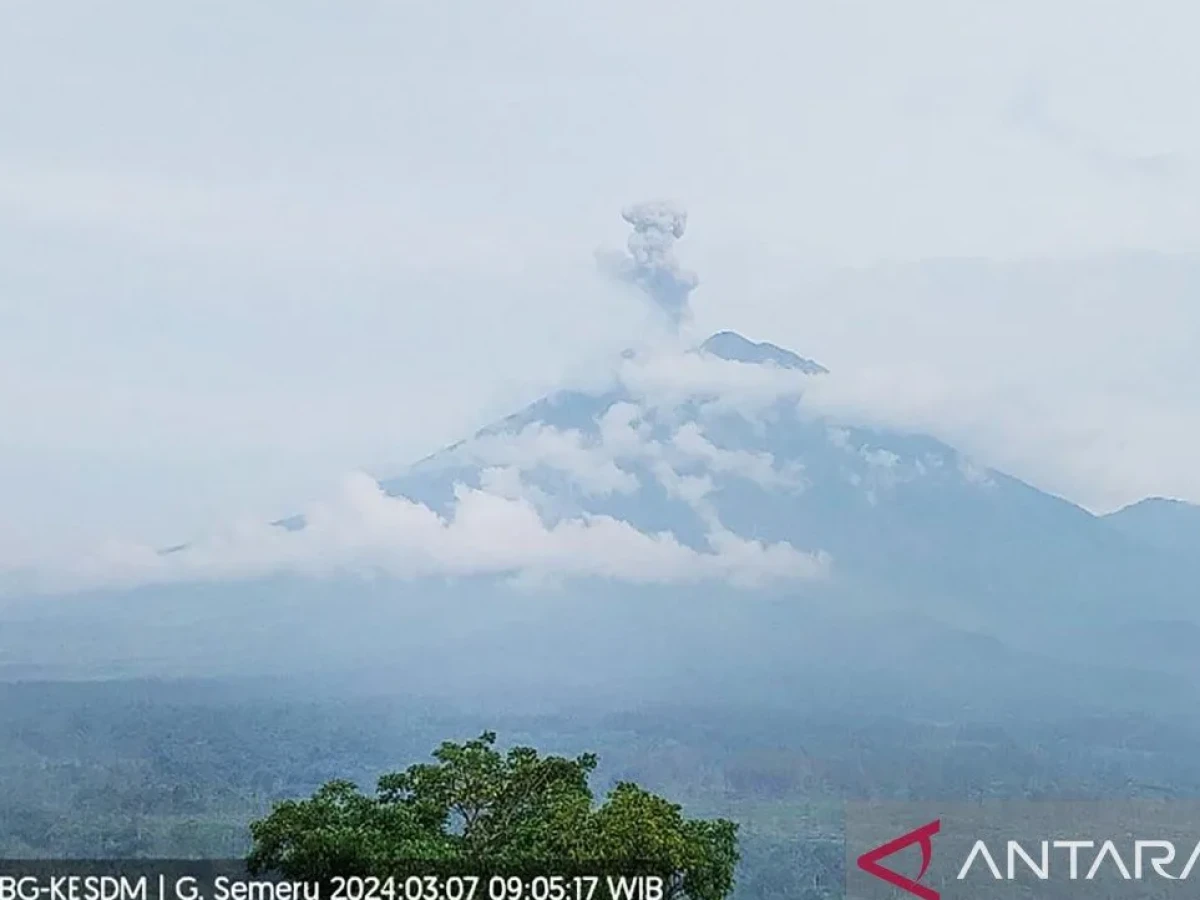 Gunung Semeru Erupsi, Muntahkan Guguran Lava hingga 800 Meter
