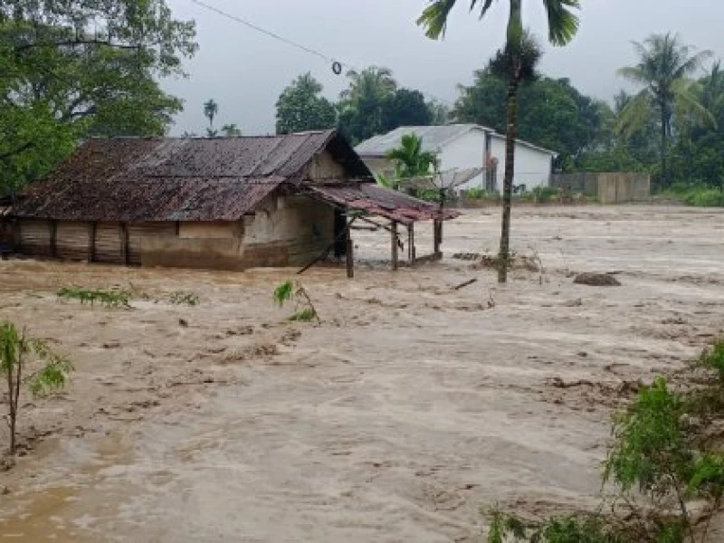 BNPB: 961 Orang Meninggal Akibat Banjir Bandang di Aceh, Sumbar dan Sumut