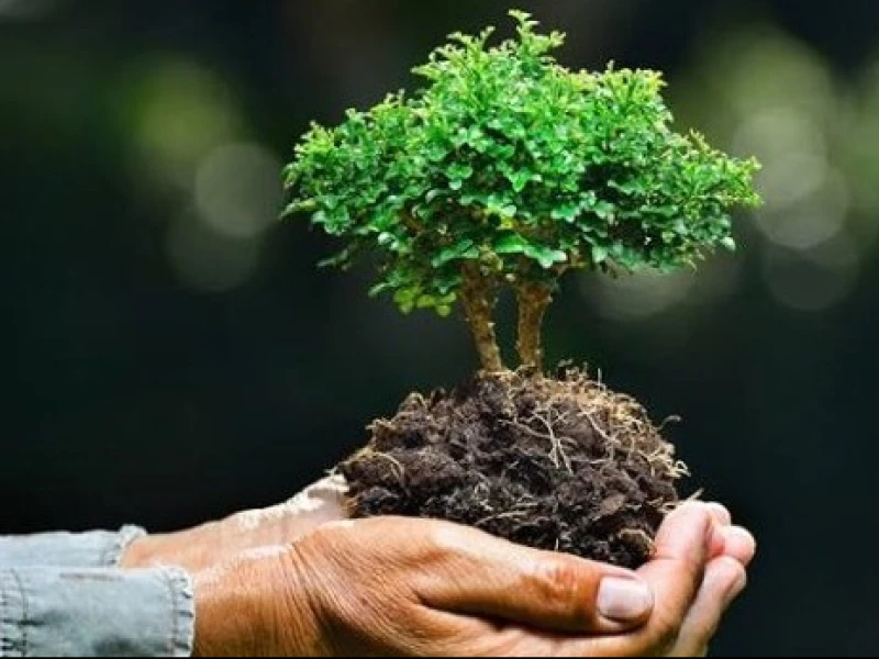 Khutbah Jumat: Ekoteologi dalam Panduan Islam