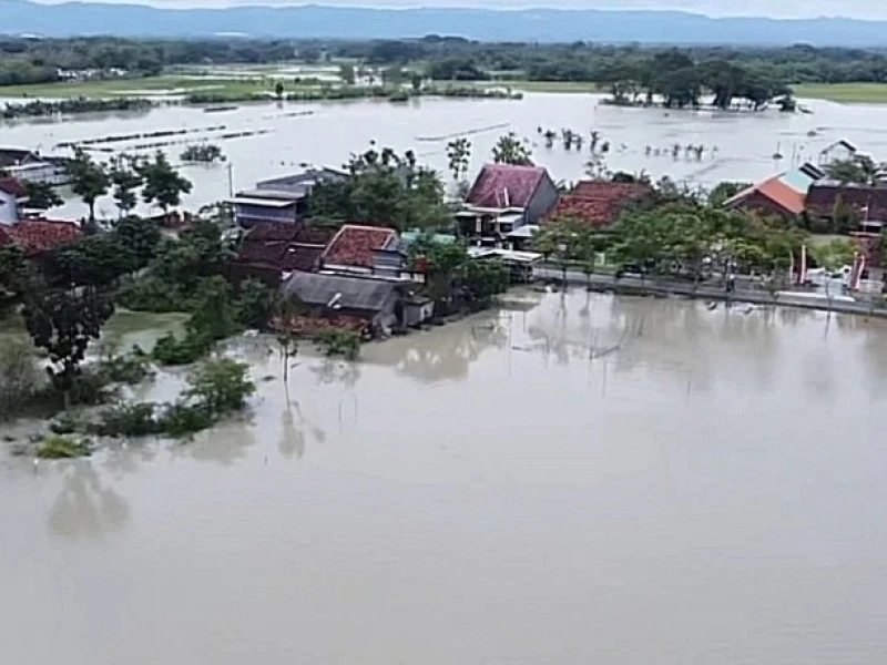 Hujan Deras Picu Banjir di Grobogan: 9.000 KK Terdampak, Tanggul Jebol di Sejumlah Titik